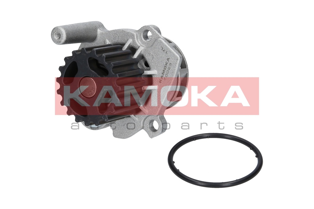 Bomba de agua KAMOKA T0023