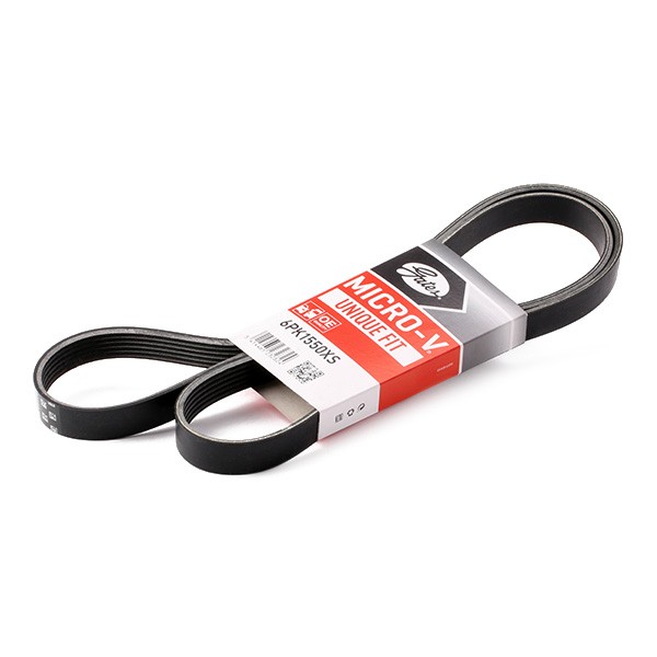 Correa trapecial poli V GATES 6PK1550XS