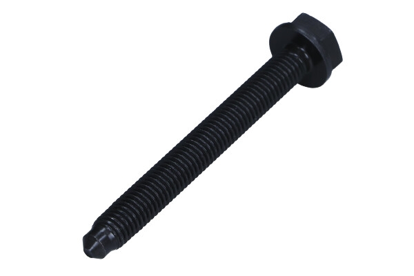 Tornillo hexagonal con collar WHT000134