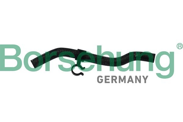 Tubería de radiador Borsehung B11975