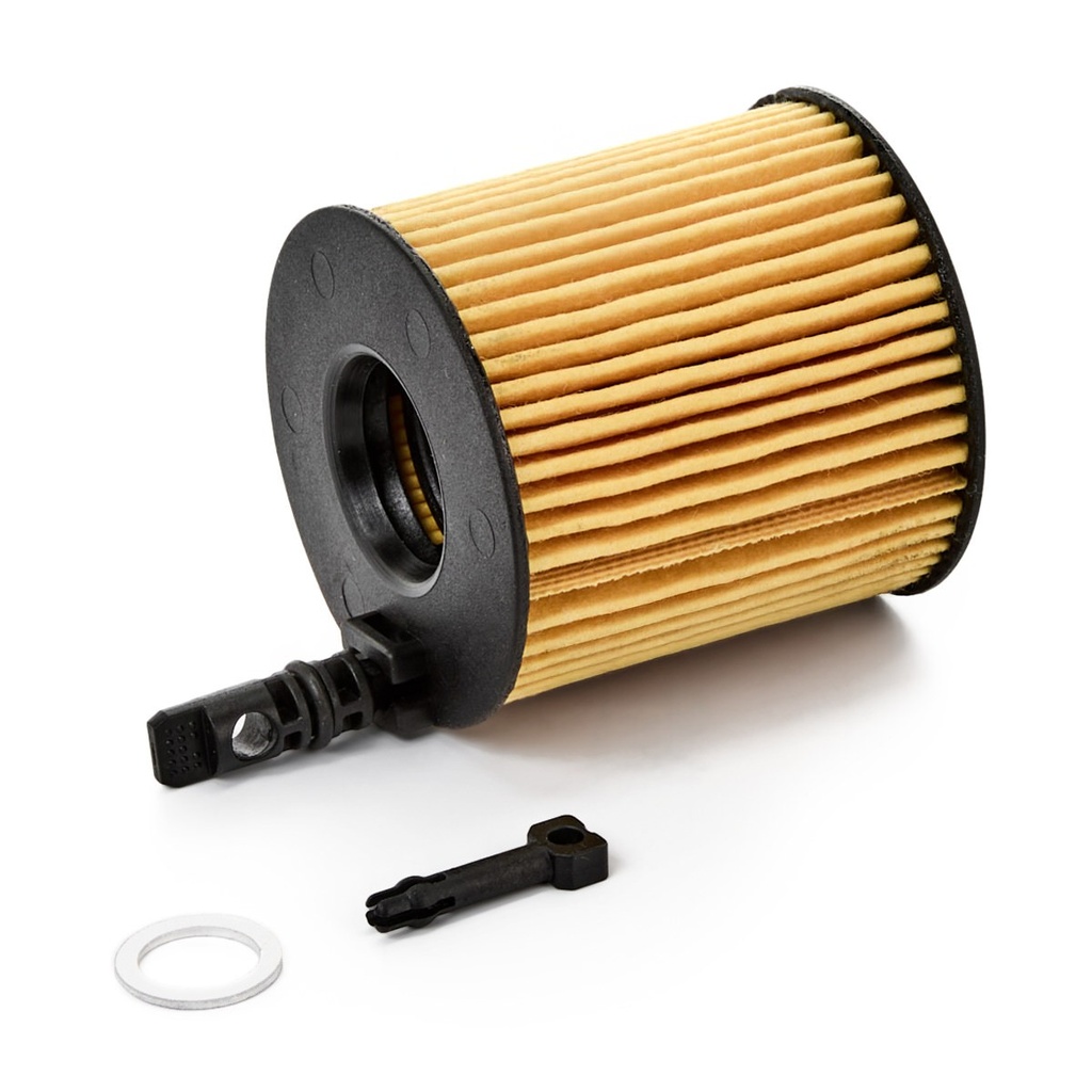 Filtro de aceite del motor BLUE PRINT ADBP210121