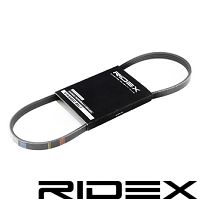 Correa trapecial poli V Ridex 305P0130