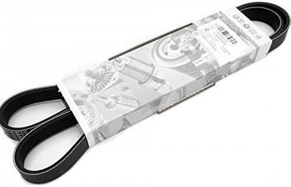 Correa trapecial poli V 06F260849E