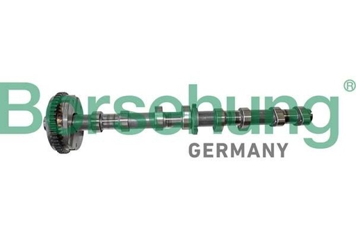 [B12413] Árbol de levas admisión Borsehung B12413