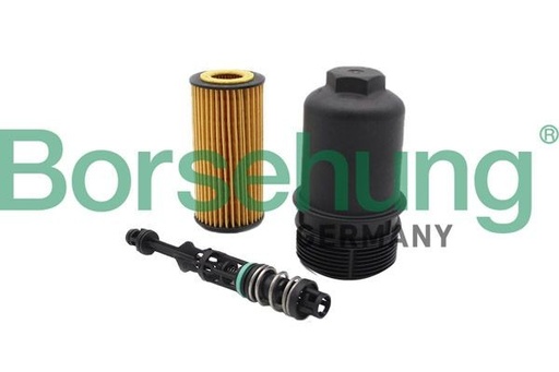 [B10435, 06L115562B, 06L115401Q, 06L115401L] Filtro de aceite del motor Borsehung B10435