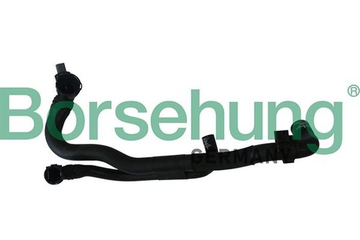 [B11978] Tubería de radiador Borsehung B11978
