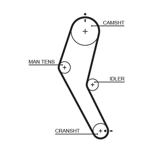 [5422] Correa de distribución GATES PowerGrip 5422