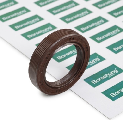 [B18729] Retén de árbol de levas Borsehung  B18729