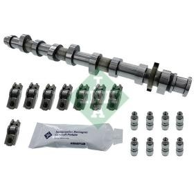 [428005030] Kit de árbol de levas INA 428 0050 30