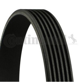 [6PK1115] Correa trapecial poli V CONTINENTAL CTAM 6PK1115