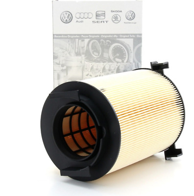 Filtro de aire del motor 1F0129620