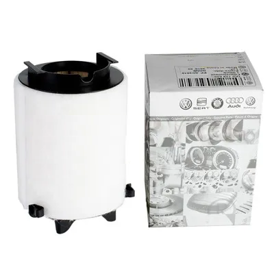 Filtro de aire del motor 1K0129620C