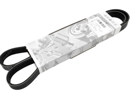 Correa trapecial poli V 06H903137C